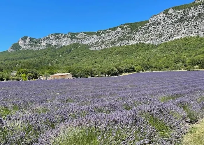 Boulevard De Provence Appartement
